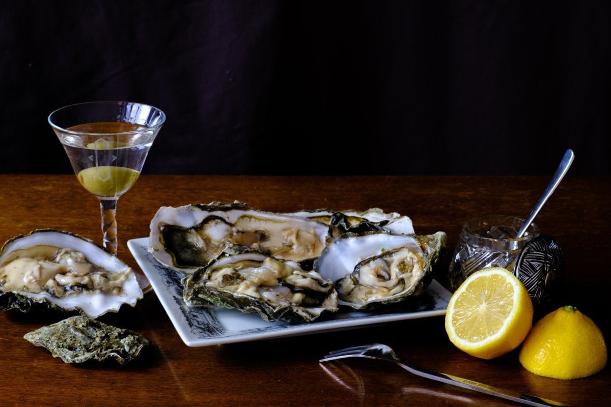 oysters on the half shell on a table