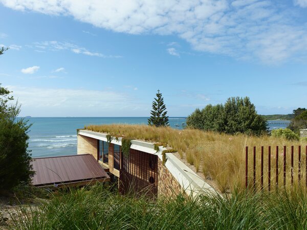 Overflowing Greenery Will Eventually Hide This Coastal Australian Home From the Street