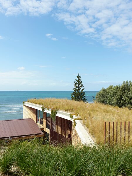 Overflowing Greenery Will Eventually Hide This Coastal Australian Home From the Street