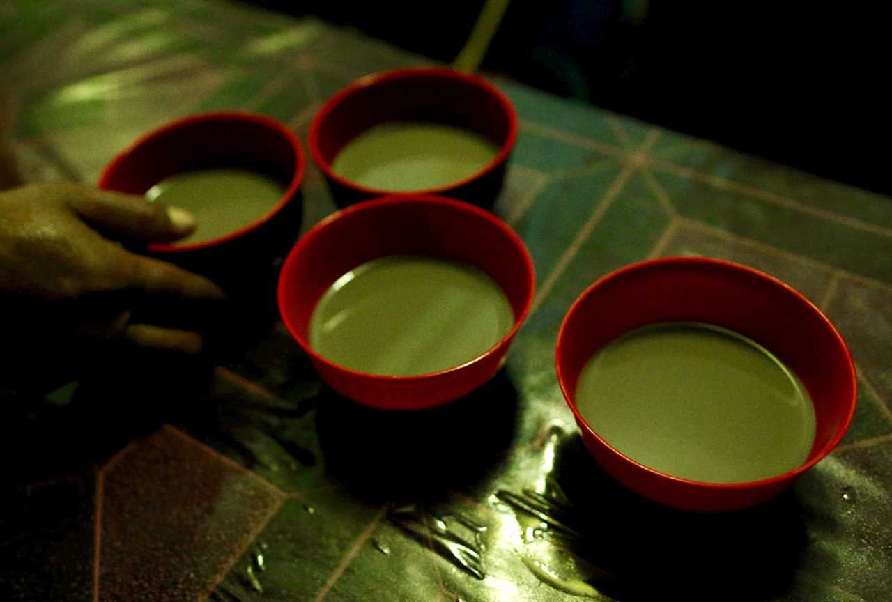 kava tea