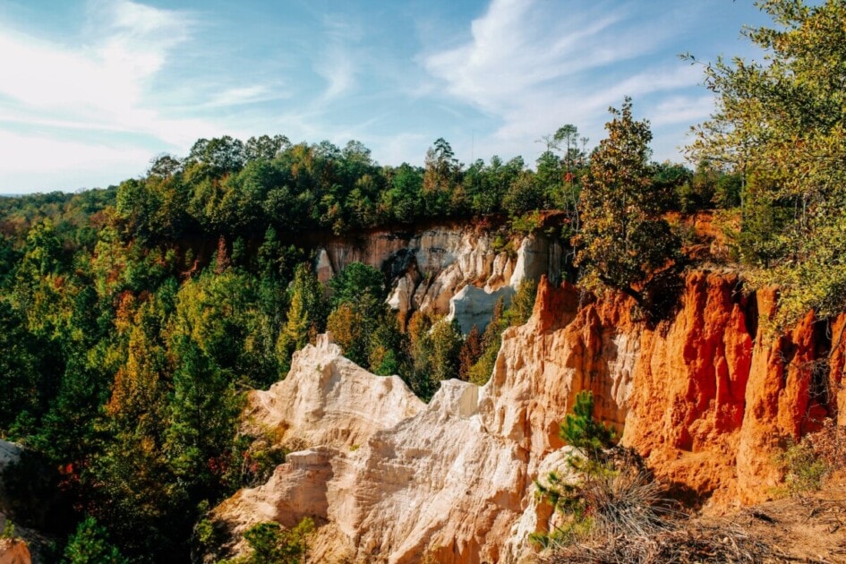 Access to Georgia state parks makes Atlanta a good place to live