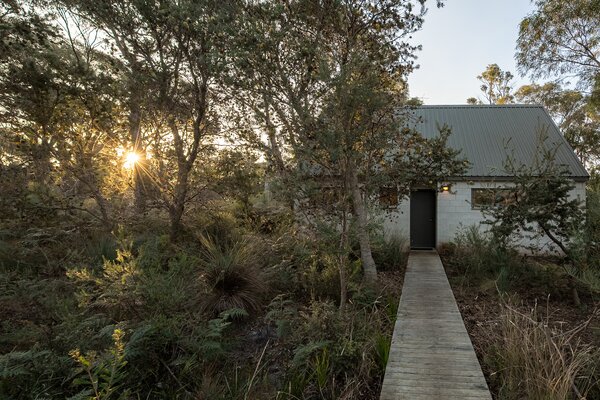 An elevated wooden walkway connects the pavilions while blending into the natural setting.