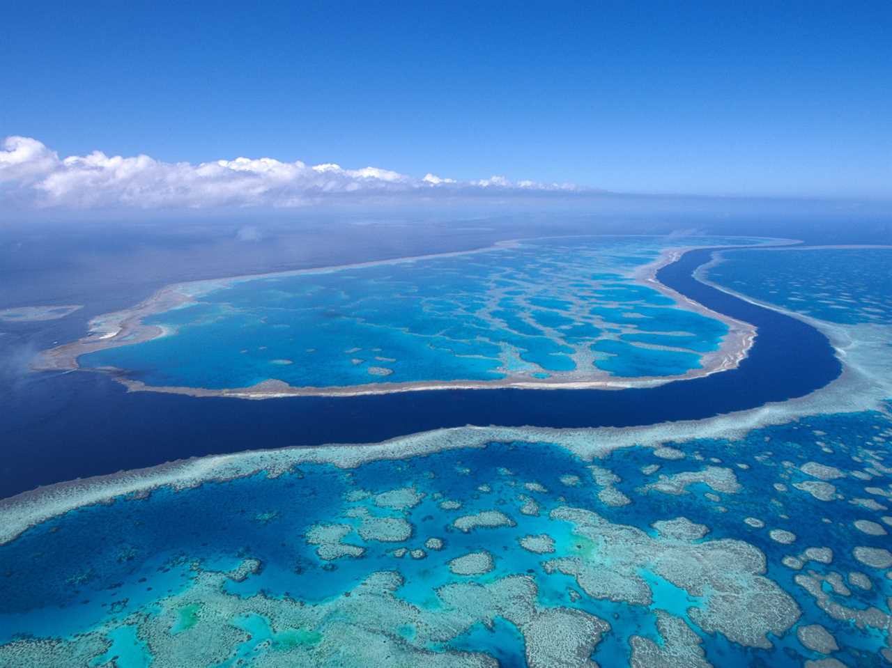 The Great Barrier Reef.