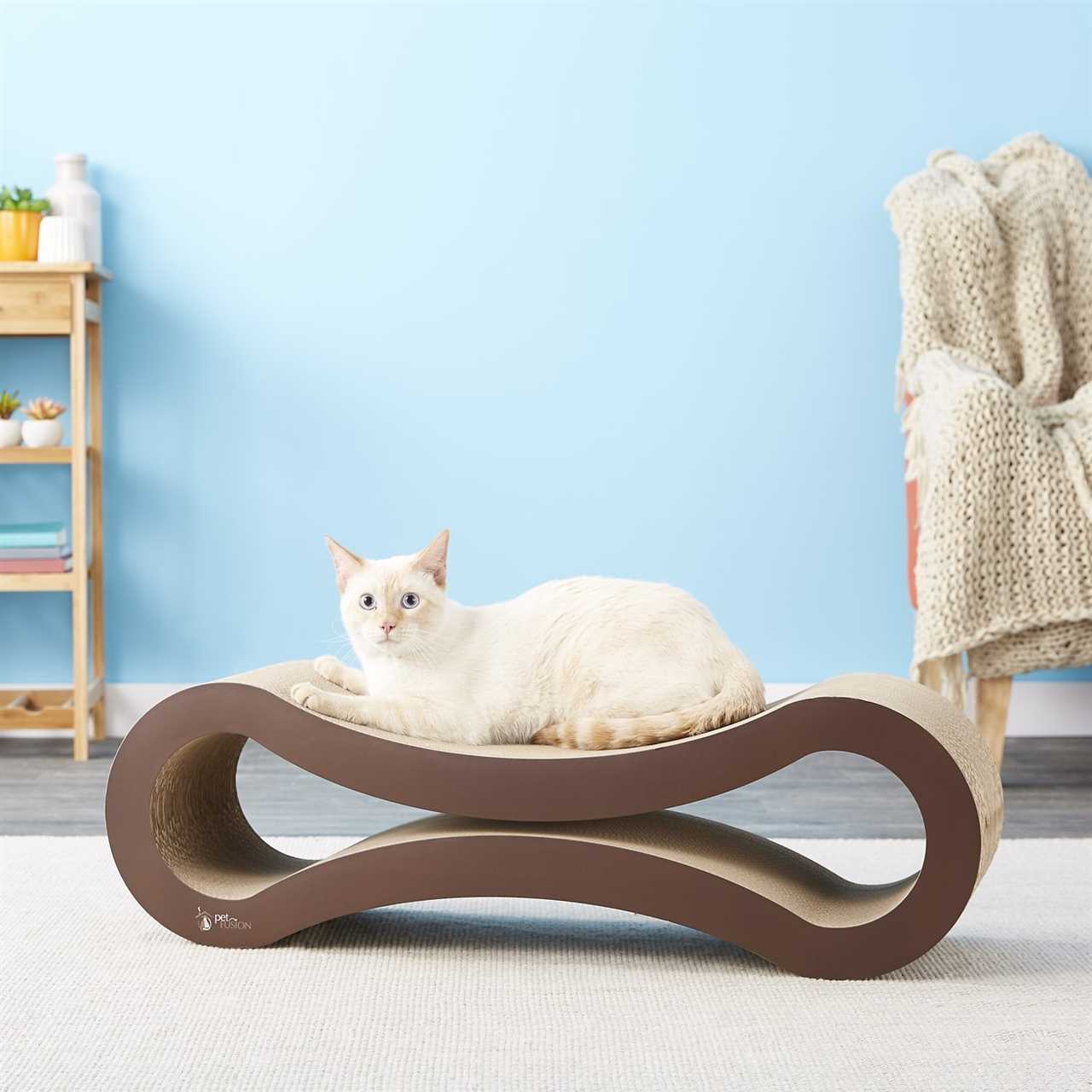 This Curvaceous Cat Scratcher From Amazon Will (Probably) Save Your Furniture