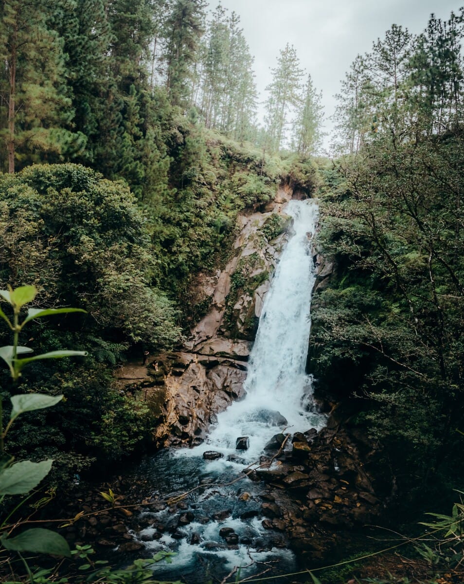 Tall waterfall in the forest