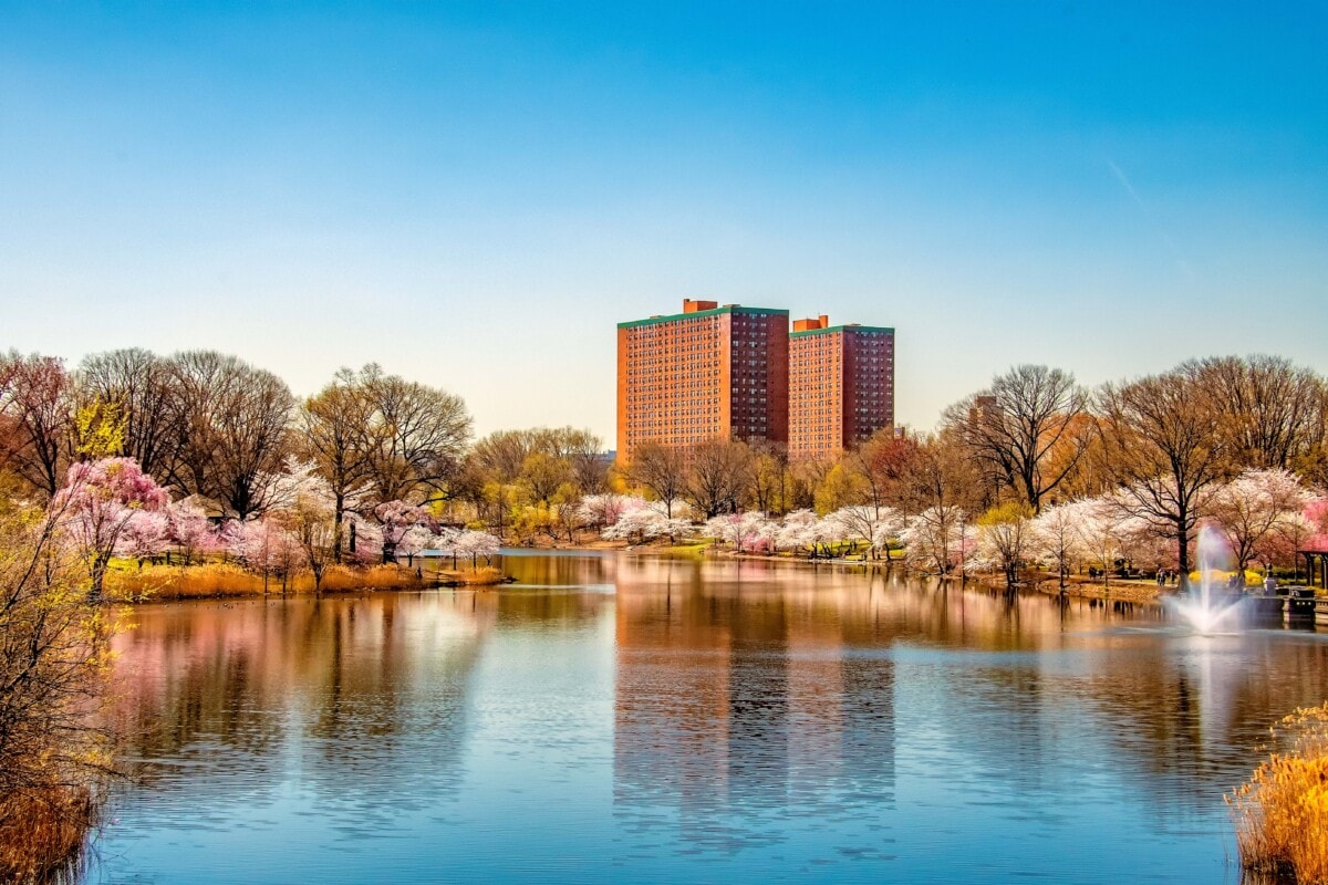 newark new jersey with cherry blossom trees