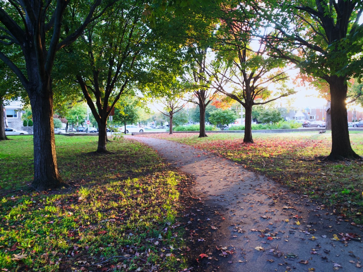 park in philadelphia suburb