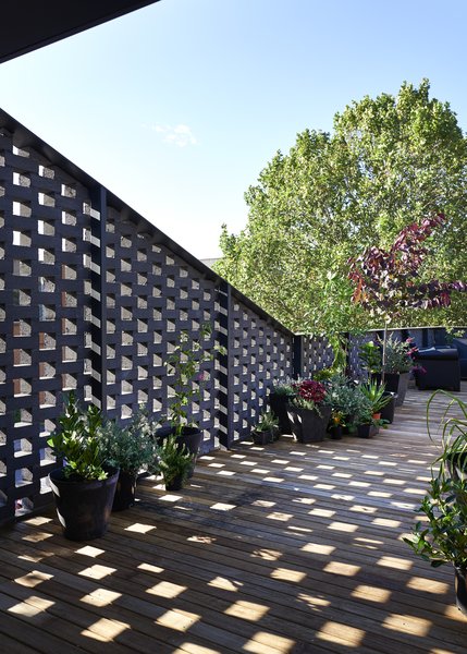 In contrast to the industrial neighborhood, the views from the upper-level deck look directly into the canopies of surrounding established trees.