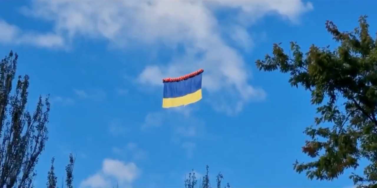 Ukraine flag