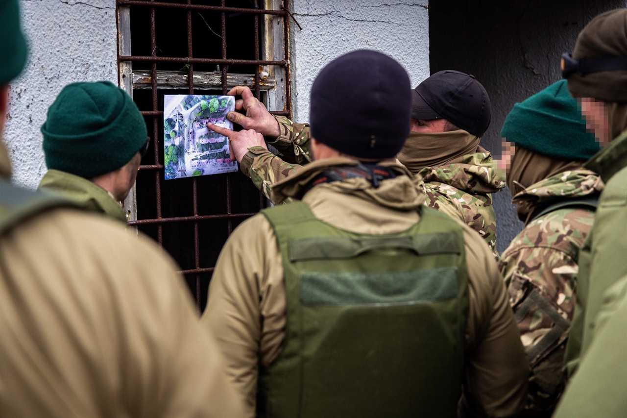 Ukrainian marines British training