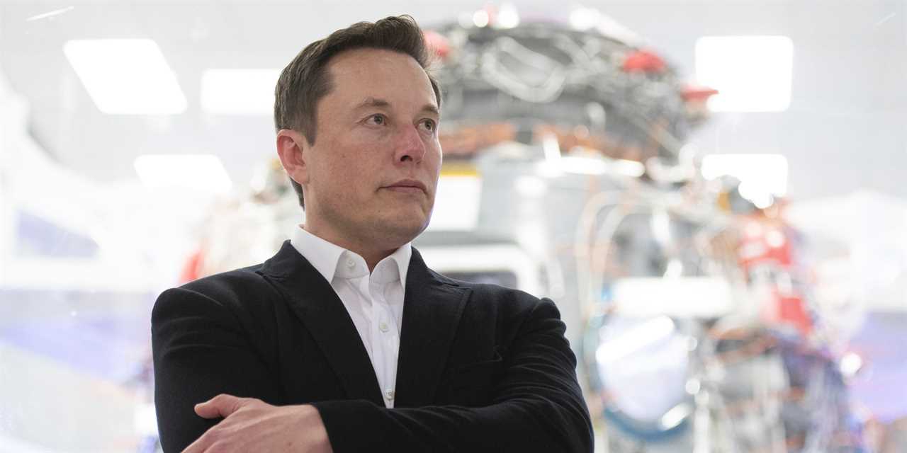 Elon Musk pose