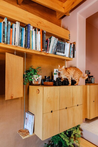 Cuqui and Juan left wood finishes in their natural colors, like those on the plywood cabinetry and the pine ceiling structure.