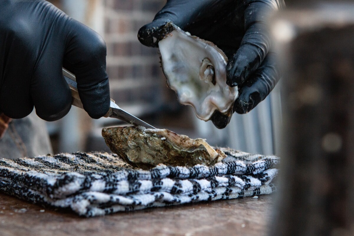 person shucking oyster