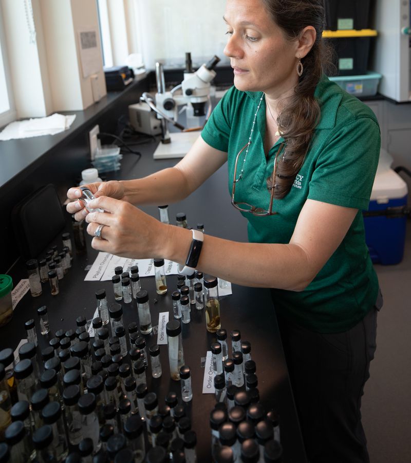 Schuman stands at a lab desk covered in vials, examining one.