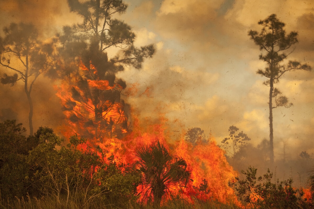 natural-disasters-in-florida-3