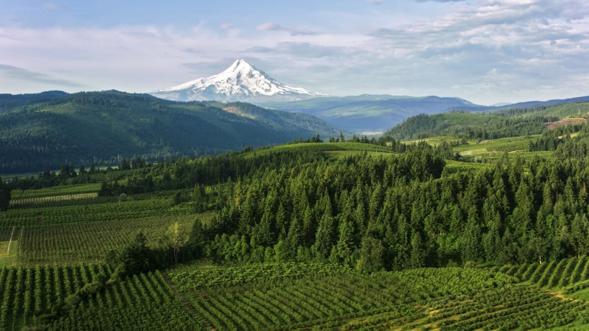 natural-disasters-in-oregon-3