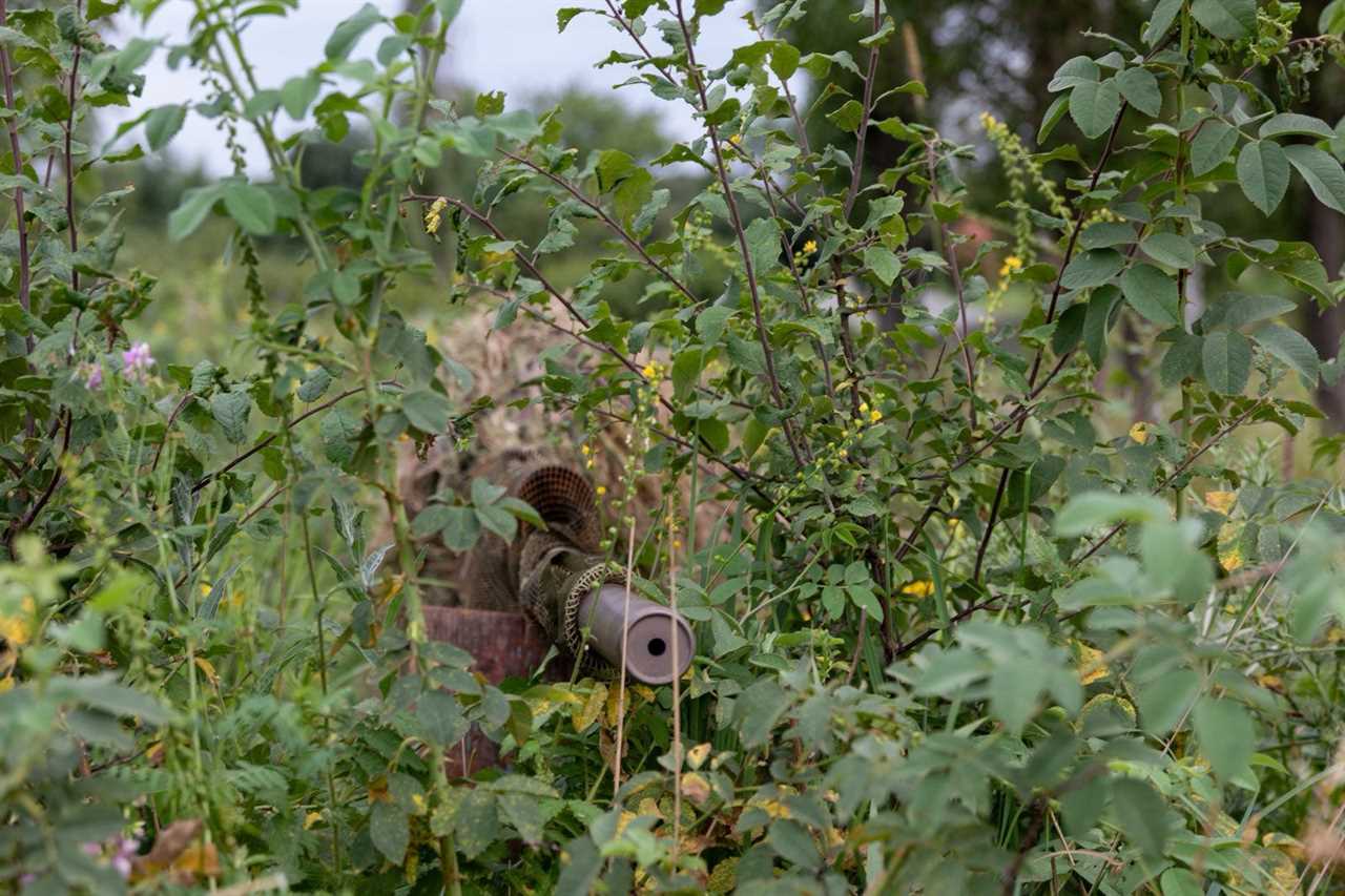 A sniper rifle appearing from a bush.