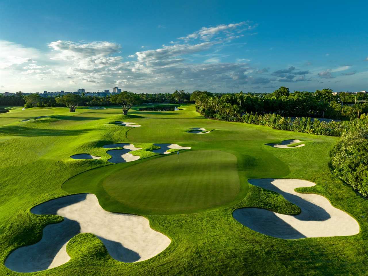 sweeping view of golf course green and surrounding trees