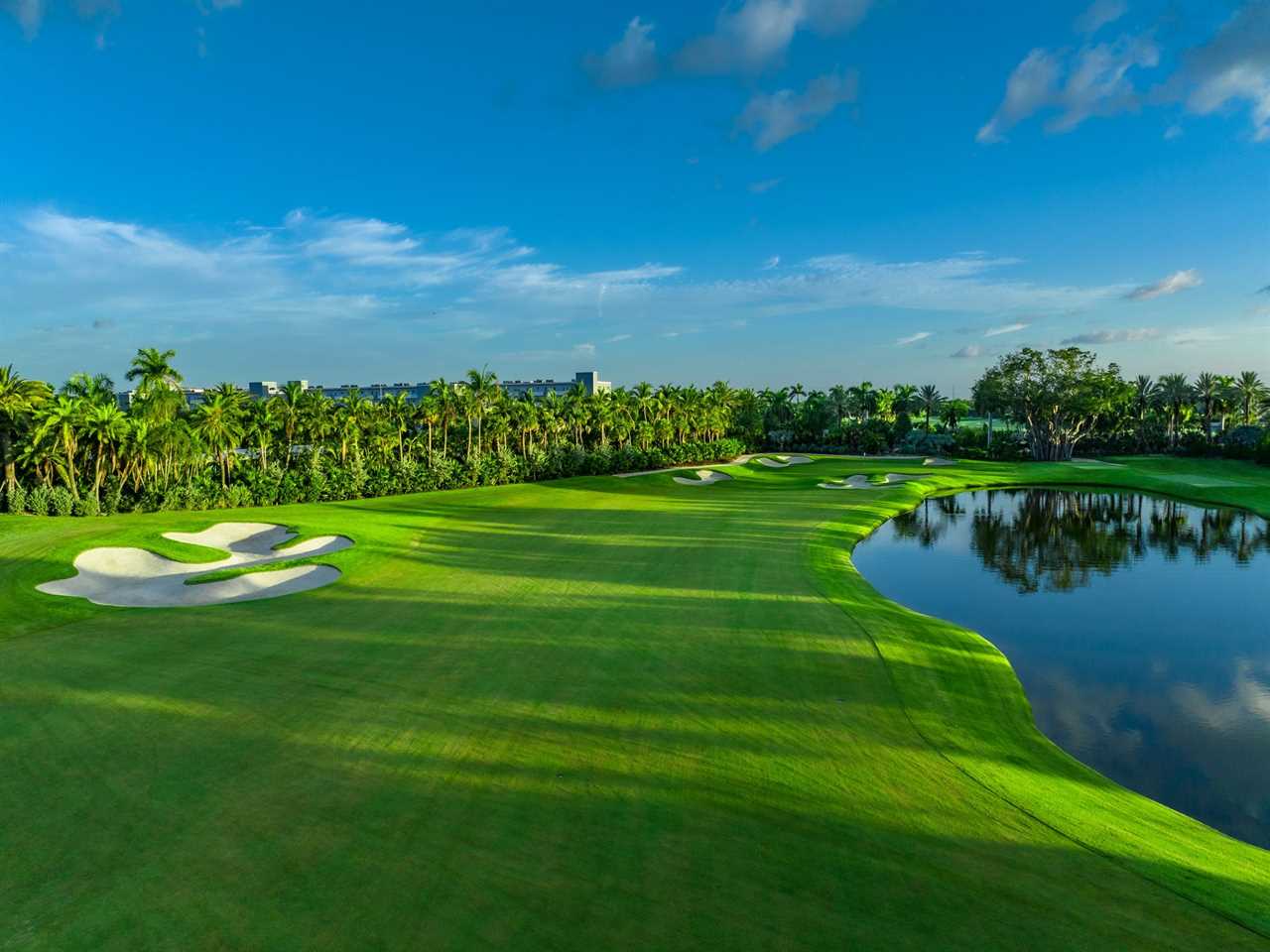 image of green golf course surrounded by tropical trees