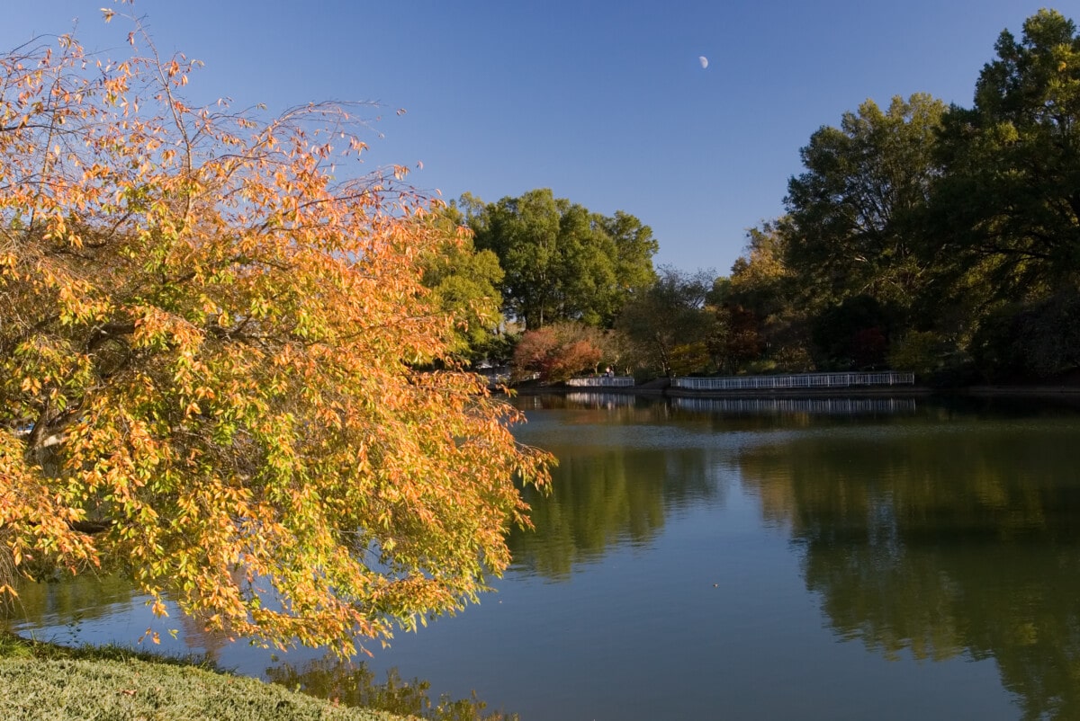 Pullen Park in Raleigh, North Carolina