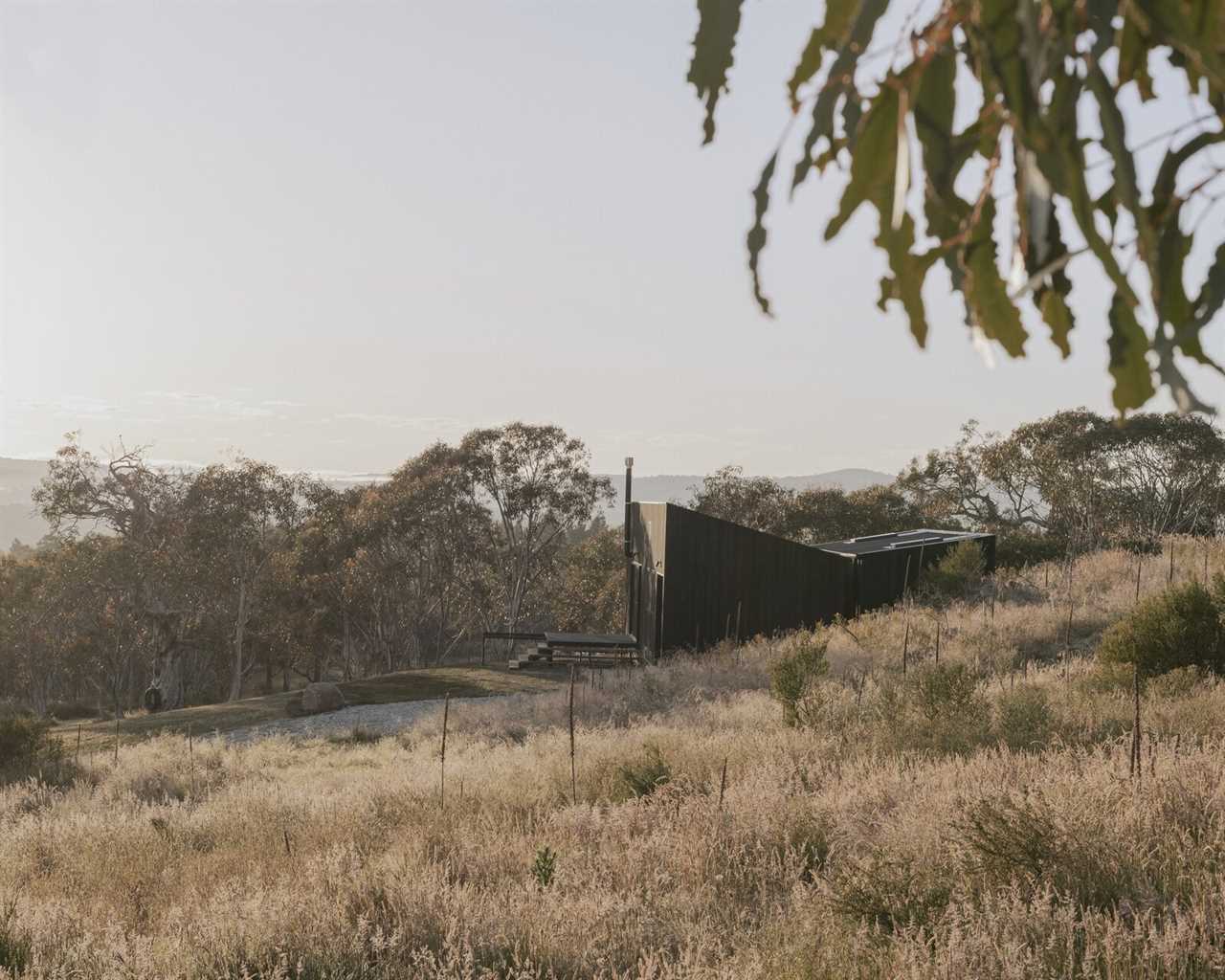 Oriented Strand Board Covers Almost Every Inch of This Australian Cabin’s Interiors