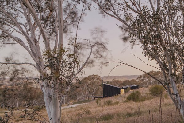 Oriented Strand Board Covers Almost Every Inch of This Australian Cabin’s Interiors