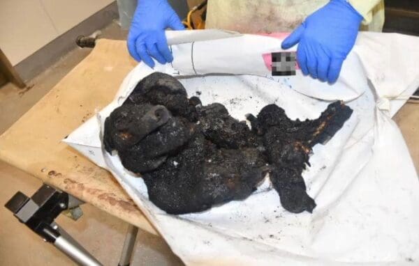 Office of Prime Minister Netanyahu Releases Horrifying and Disturbing Photos of Babies Murdered and Burned by Hamas Terrorists That Was Shown to Anthony Blinken