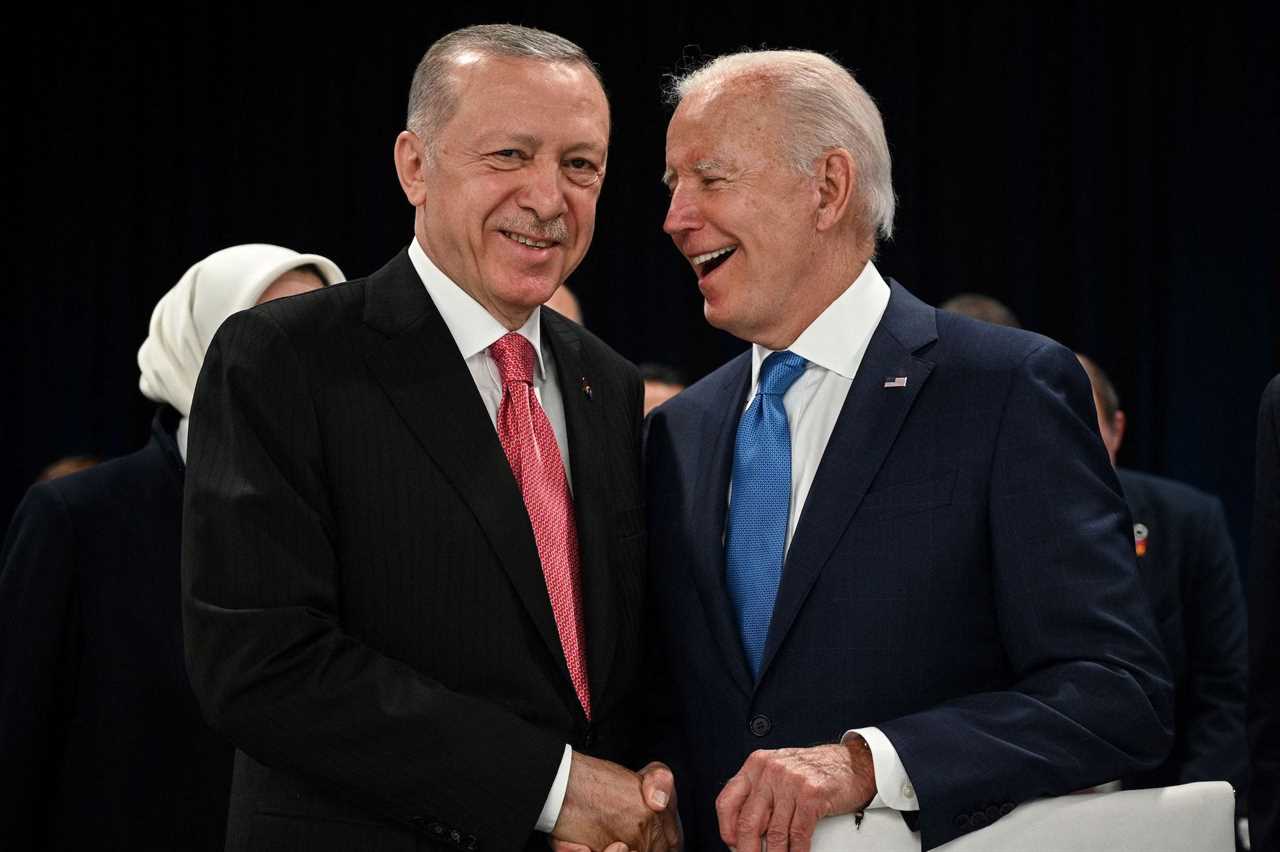 Turkey Erdogan Biden NATO