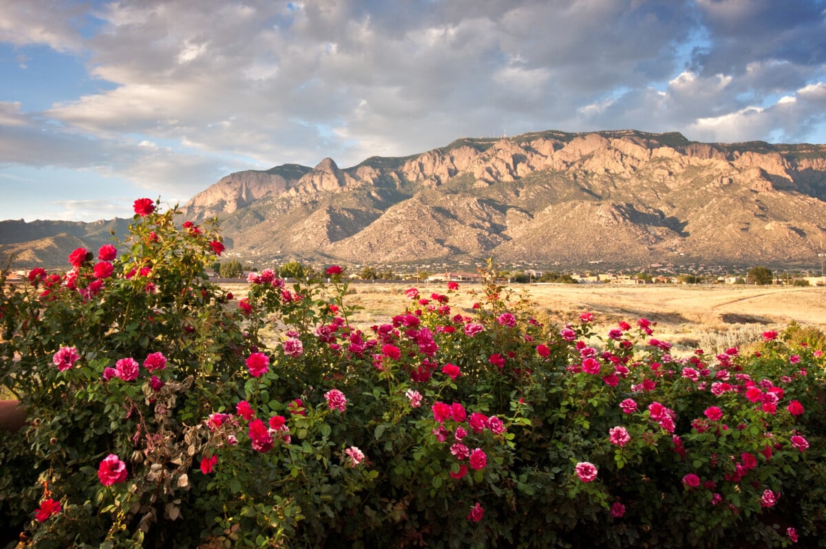 Sandia Mountains