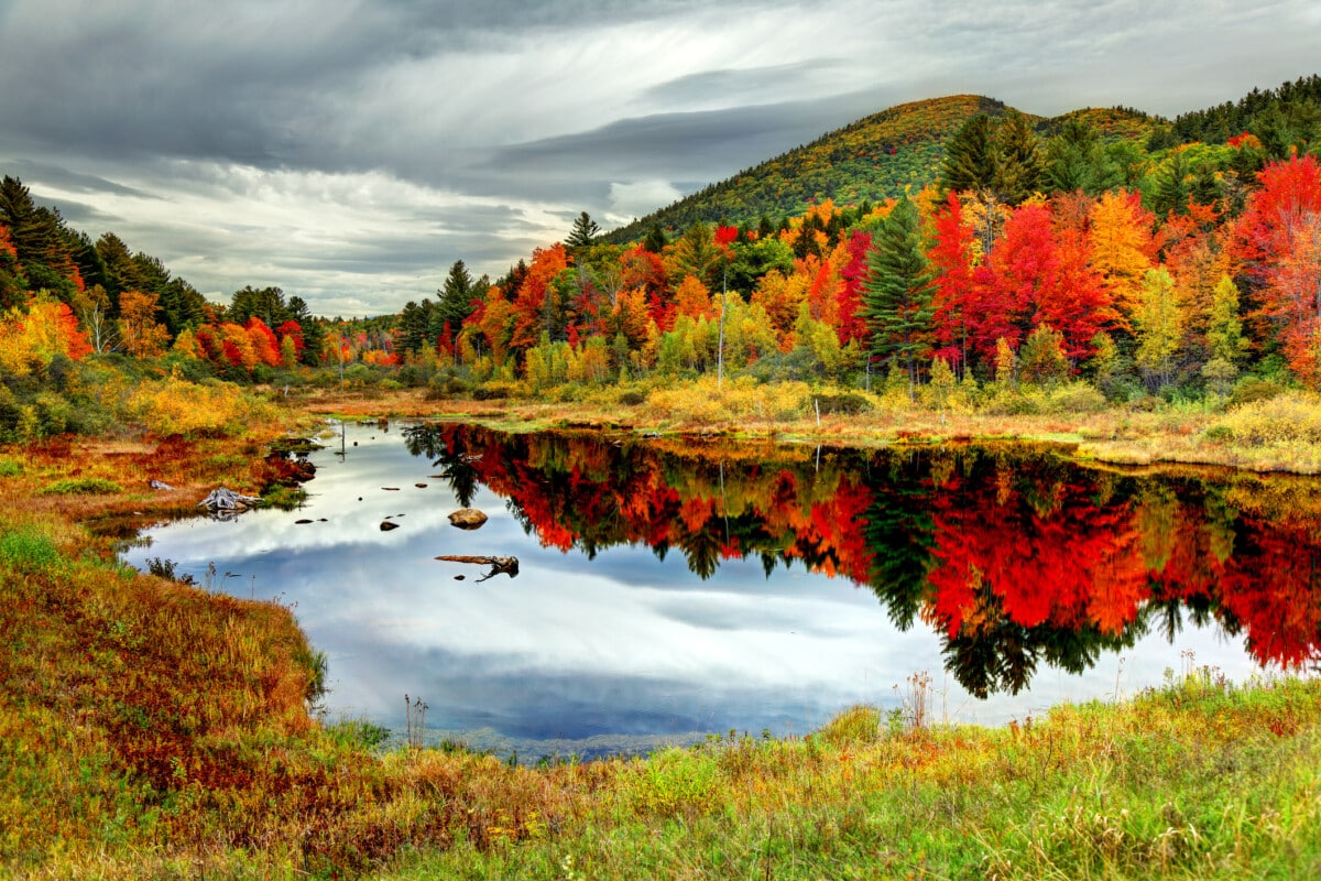 Autumn foliage in the White Mountains of New Hampshire