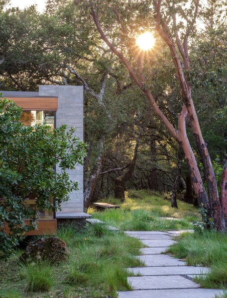 Sunlight pours through the surrounding treetops and creates light play on the forest floor and on the interior of the studio.