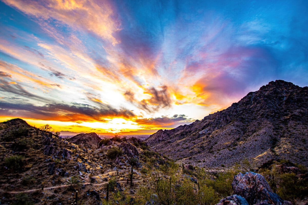 15 Popular Phoenix Neighborhoods: Where to Live in Phoenix in 2024