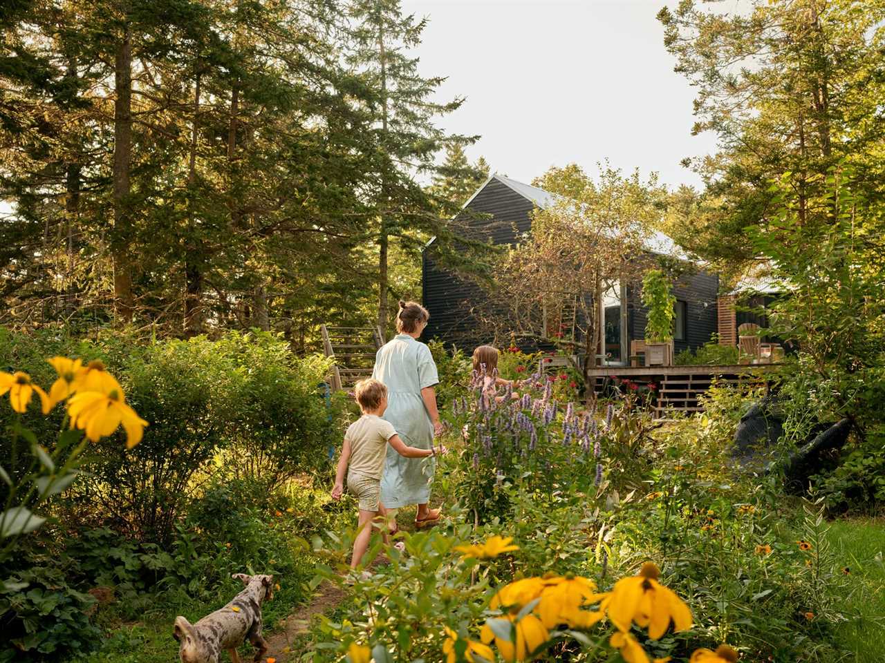 The house was designed to minimally interfere with the hilltop vegetation, which is what attracted the family to the site.