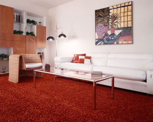 Shag carpeting dominated American households in the 1960s and ’70s.