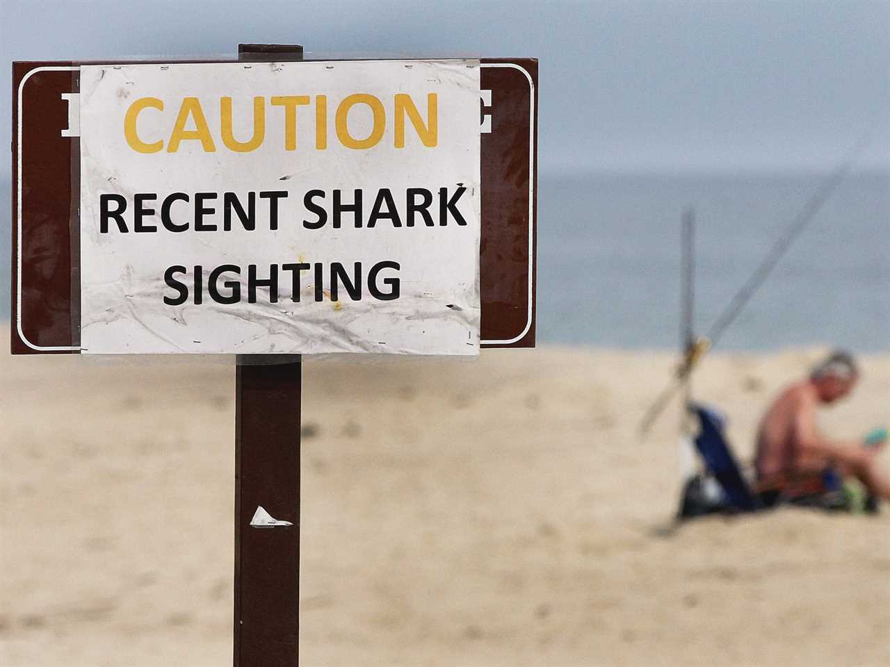 A sign on a beach after a shark attack in Cape Cod.