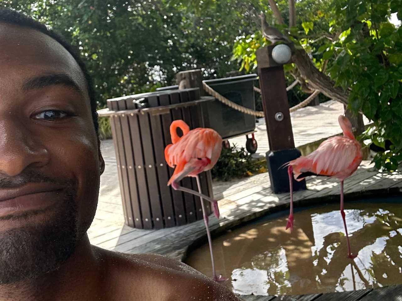 A man poses with flamingos.