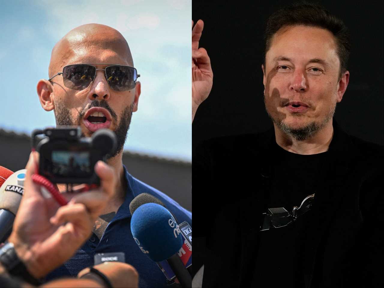 Andrew Tate and Elon Musk