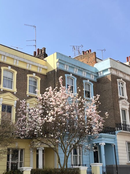 When she wasn’t filming her role for season three of <i>Ted Lasso</i>, actress Jodi Balfour spent some of her free time walking through various London neighborhoods and admiring the architecture.