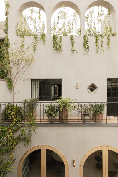 This Lush Courtyard Home in Mexico City Was Once a Mezcaleria