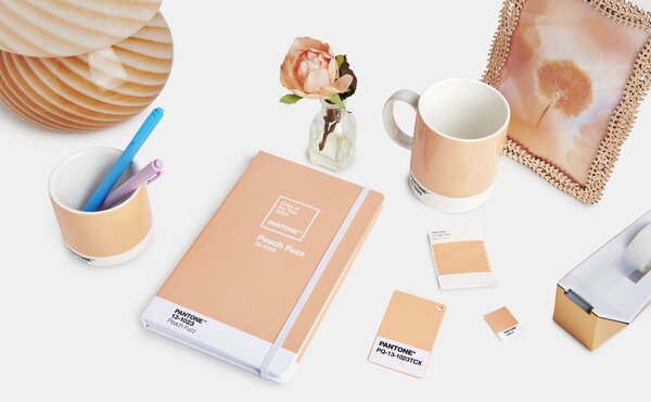 Pantone’s 2024 color of the year is Peach Fuzz, an orangey-pink hue that’s meant to create a feeling of ease.