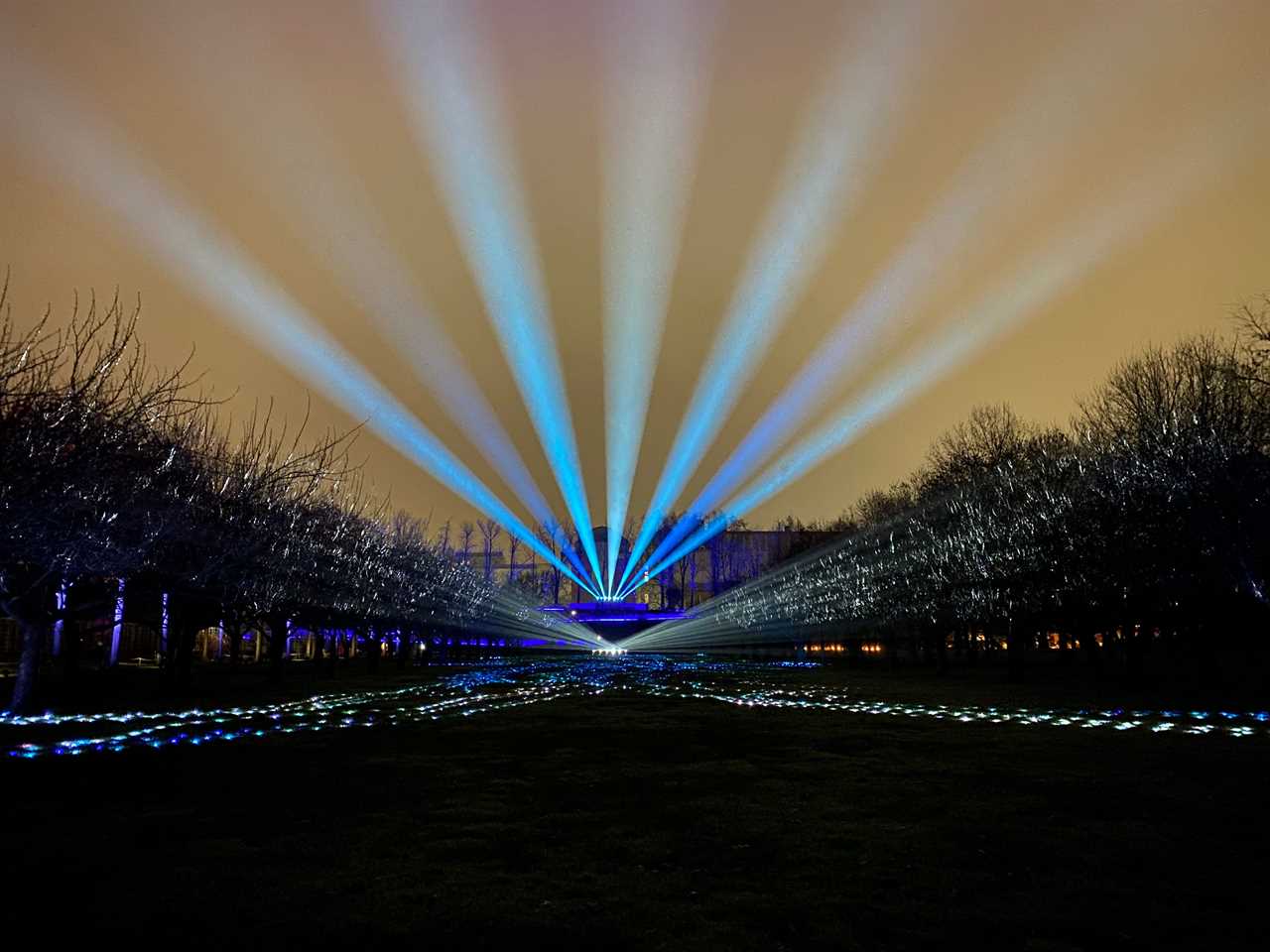 One of the installations at the Brooklyn Botanic Garden's "Lightscape" show on December 3, 2023.