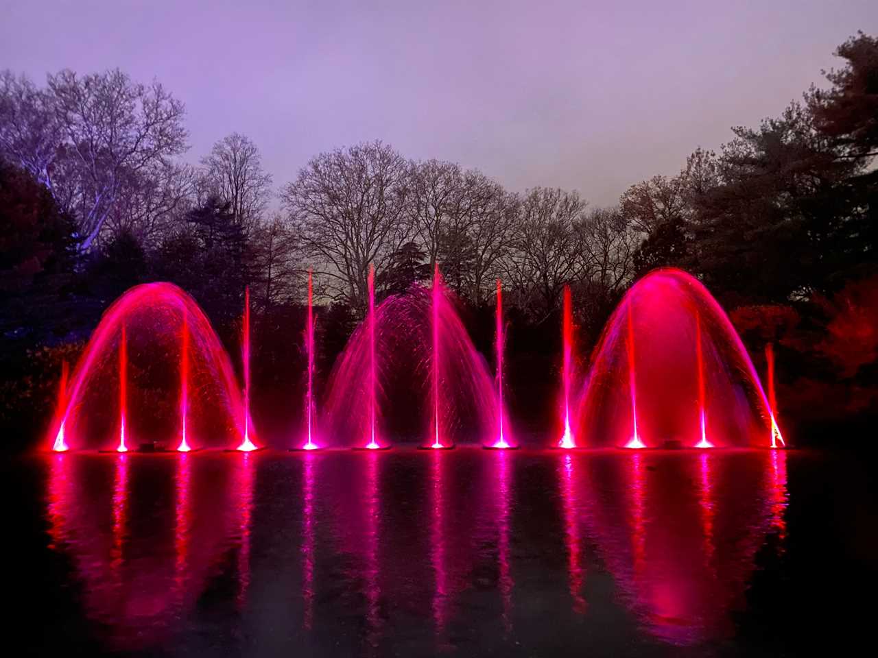 Adrian Benepe, the president and CEO of the Brooklyn Botanic Garden, said getting people outdoors and into parks during the winter is a matter of public health.