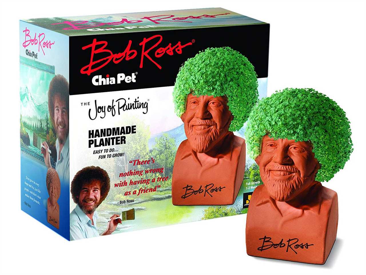 Bob Ross chia pet next to its box.