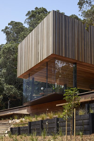 Glass Walls Make This New Zealand Beach House Look Like It’s Suspended in Midair