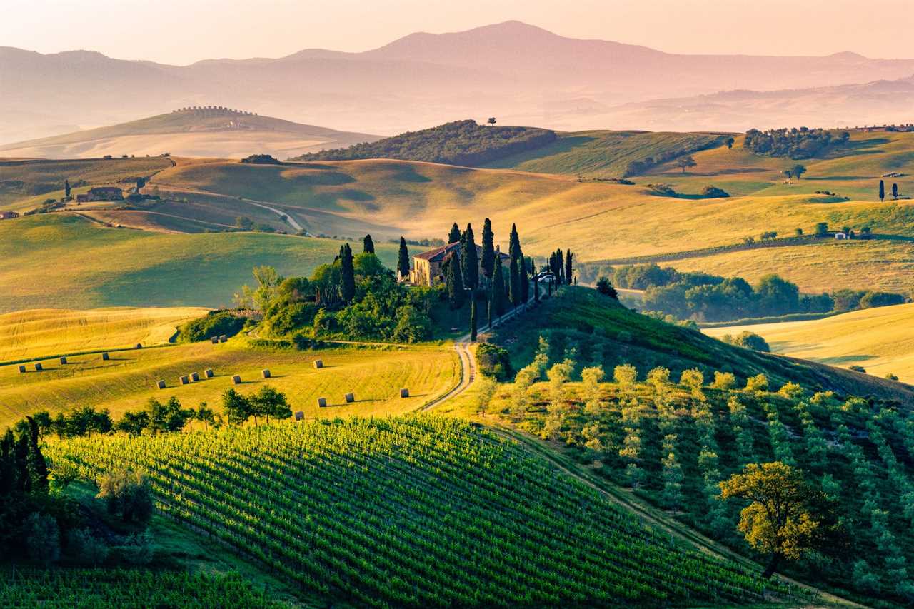 A view of a Tuscan vineyard and house amid rolling hills.