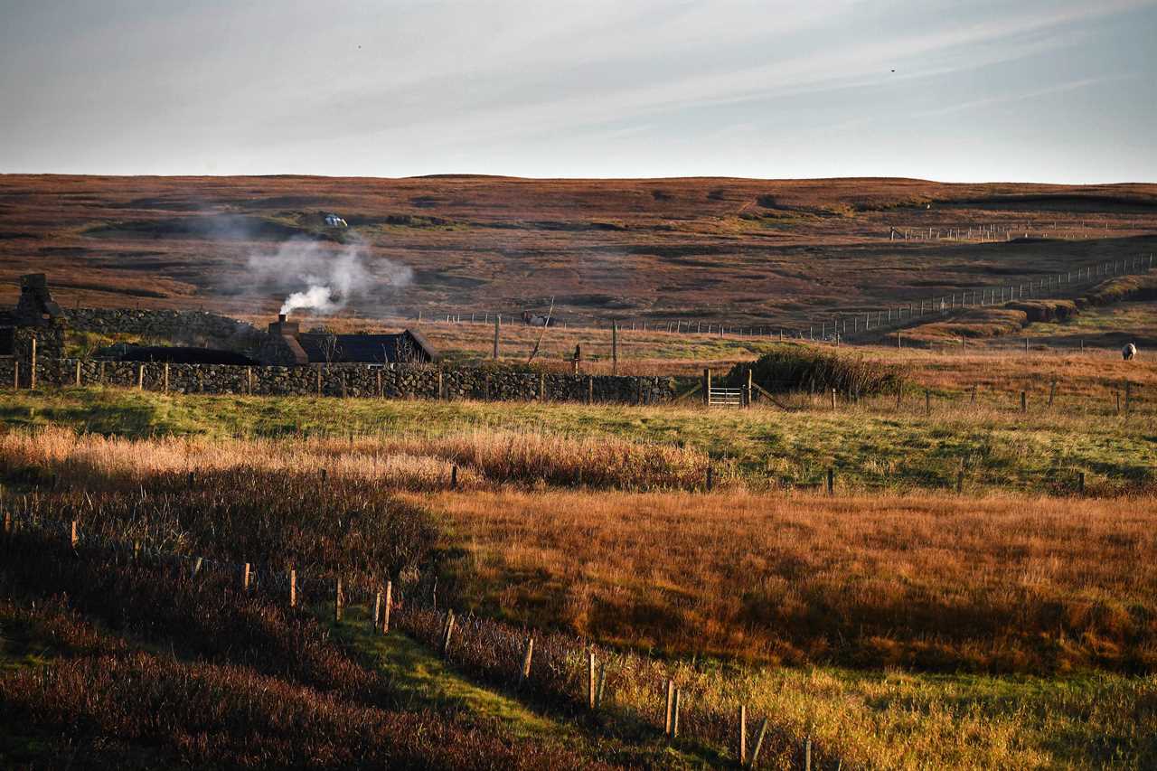 a field with a house that has a smoking chimney in the background