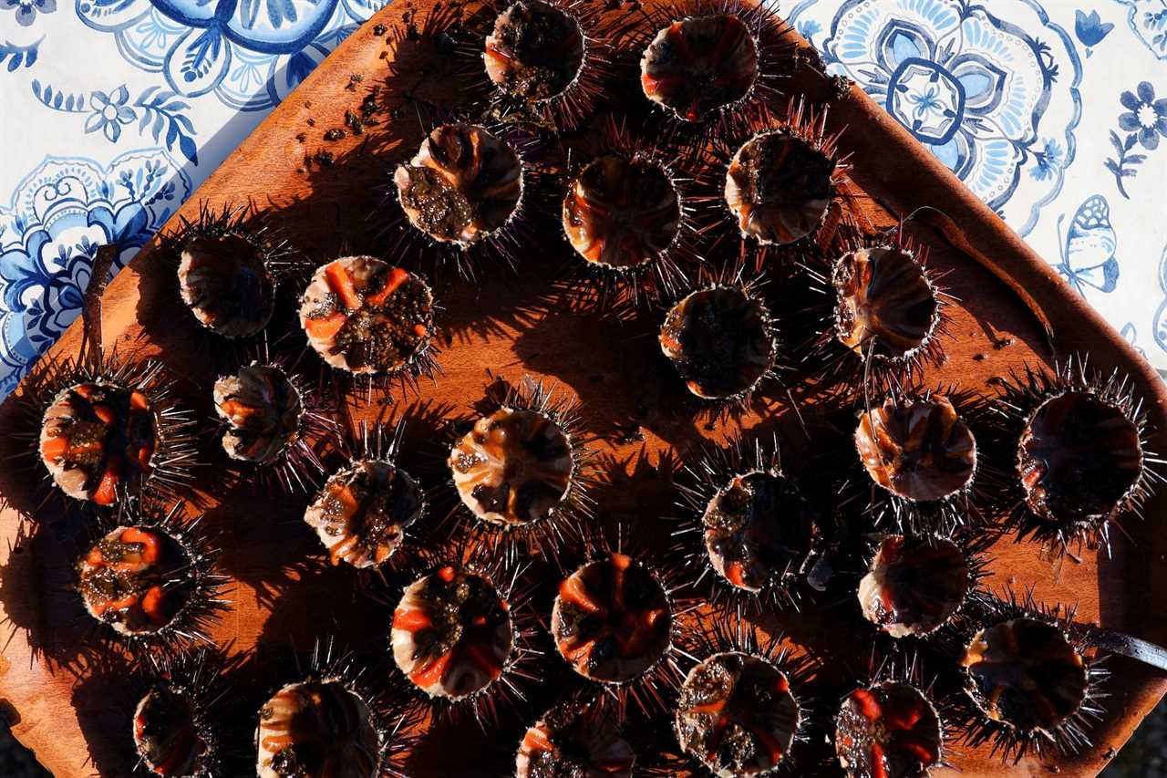 Many sea urchins on a wooden plate on a blue-and-white patterned surface