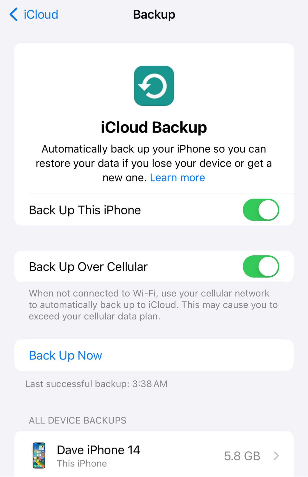 Performing an iCloud backup on iPhone.