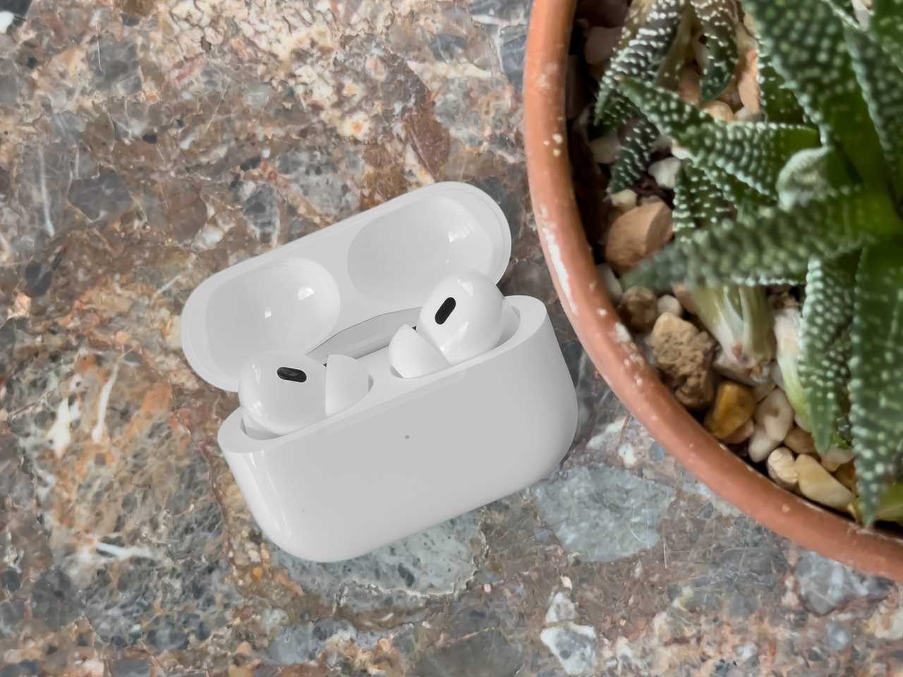 The Apple 2nd-gen AirPods Pro on a counter next to a succulent.