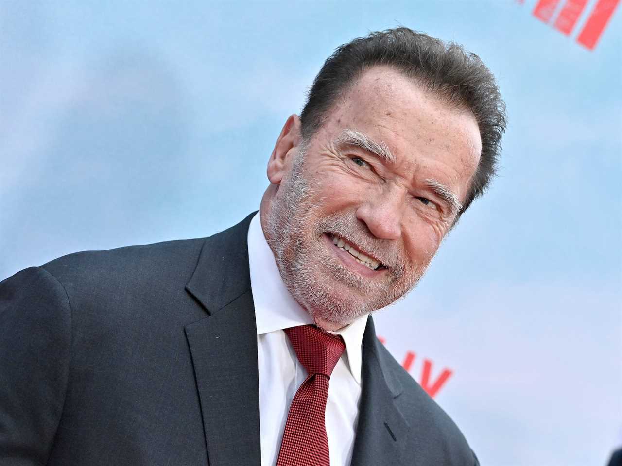 Arnold Schwarzenegger attends the Los Angeles Premiere of Netflix's "FUBAR" at The Grove on May 22, 2023 in Los Angeles, California.